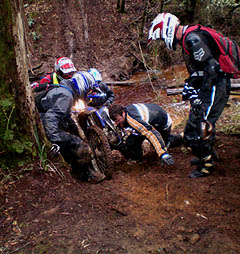 
 2008 St Helens to Strahan Ride 
 Mud Sweat n Cheers at Cethana Creek 

